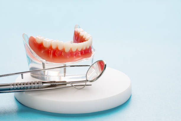 Best Preventive Dentistry  in Spencer, WV